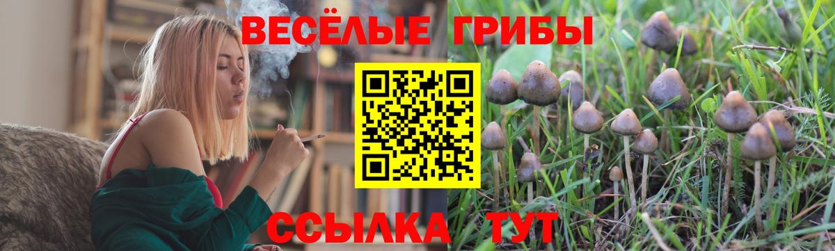 Ачхой-Мартан  Галлюциногенные грибы Magic Shrooms  Вход с VPN 